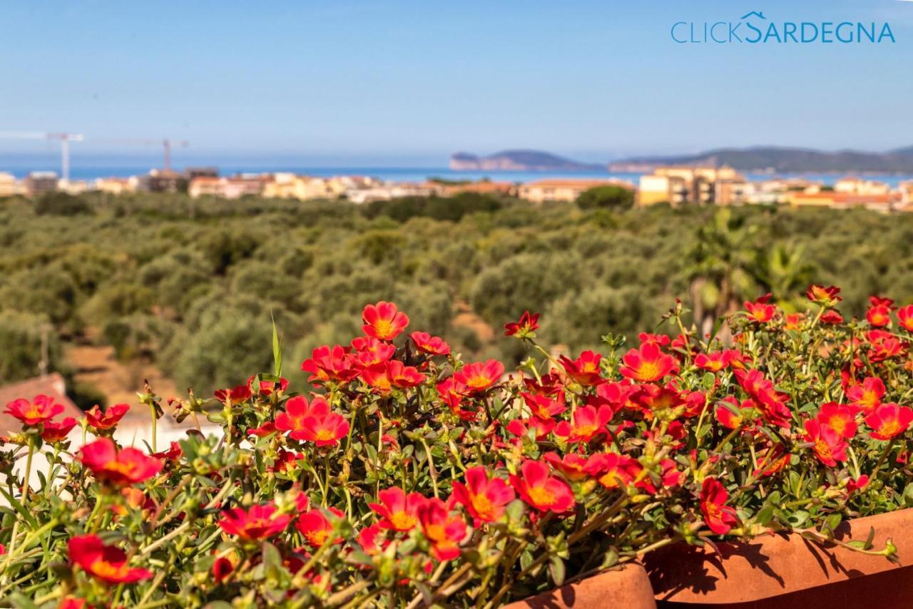 Villa Christiana Villa Del XV Secolo Con Piscina Ad Uso Esclusivo Alghero Ngoại thất bức ảnh